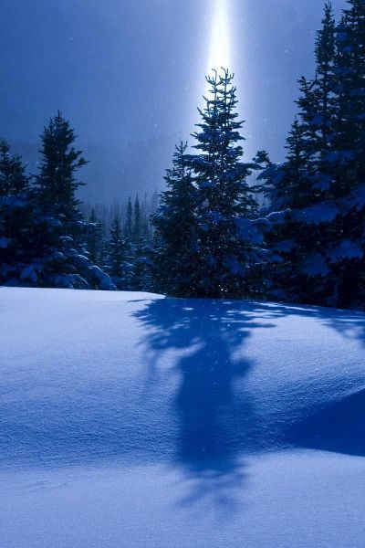 Canada, BC, Smithers Winter snow landscape